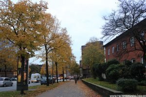 O que fazer em Hamburgo