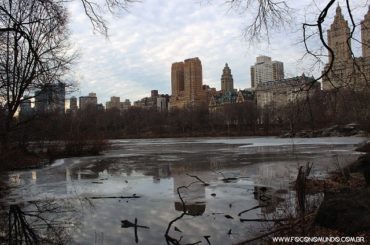 primeira vez em nova york