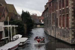 Bruges belgica