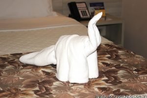 hospedagem em foz do iguaçu