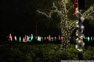 Natal na disney