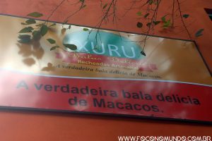 Macacos Minas Gerais