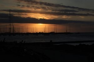 o que fazer em punta del este