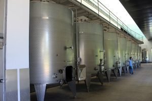 vinicola undurraga