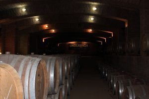 vinicola undurraga
