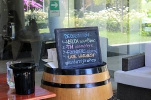 vinicola undurraga