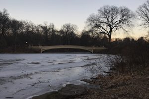 atrações gratuitas em nova york