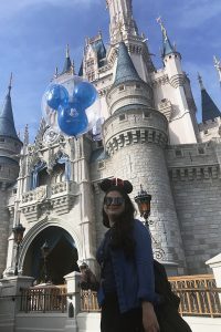 castelo disney