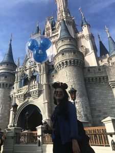 magic kingdom castelo disney