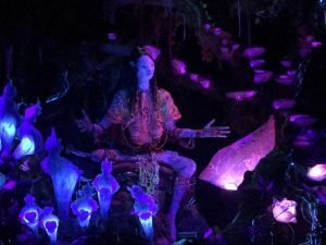 animal kingdom pandora