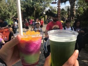 animal kingdom bebidas pandora