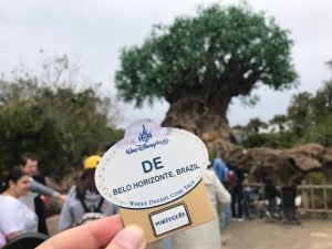 animal kingdom arvore