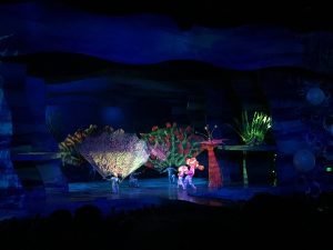 animal kingdom nemo