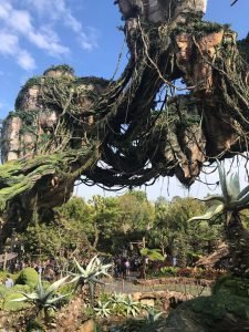 animal kingdom pandora