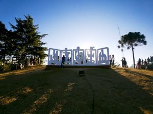 museu felícia leirner