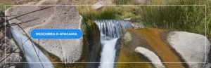 passeios no atacama