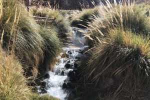 termas de puritama
