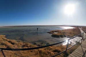 laguna cejar atacama