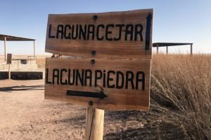 laguna cejar y piedra